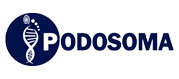 Consejo General de<br> Colegios Oficiales de <br>Podólogos de España