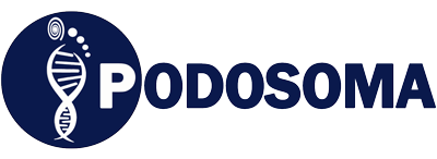 podosoma